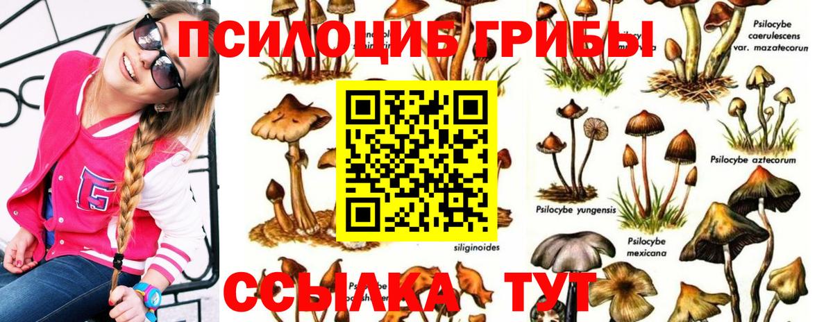 Кашира  Псилоцибиновые грибы GOLDEN TEACHER  Вход с VPN 