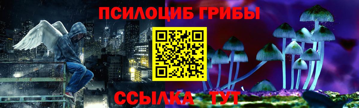 Псилоцибиновые грибы ЛСД Кашира